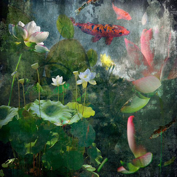 Koi and Kotus by Ryn Clarke