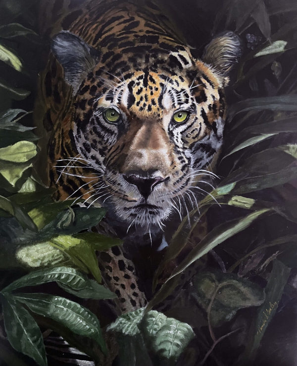 Jaguar Hunting by Pamela Conley