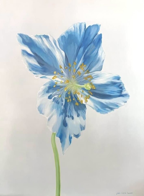 Himalayan Blue Poppy by Jean Marie Bucich