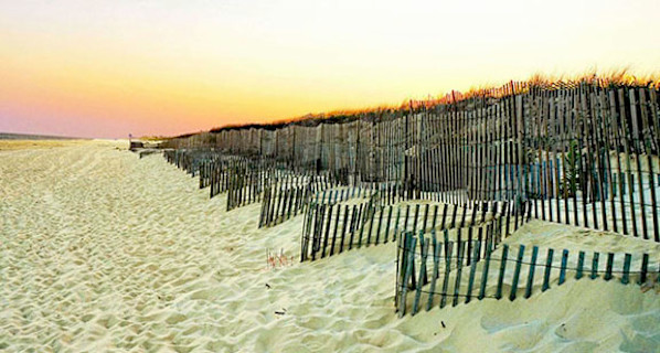 Diggiong for Treasure by Mary McKenna Ridge