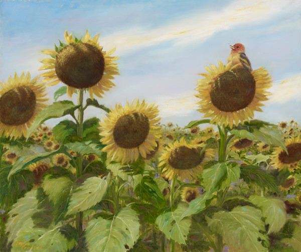 Sunflowers at Mattituck Farm by Denise Franzino