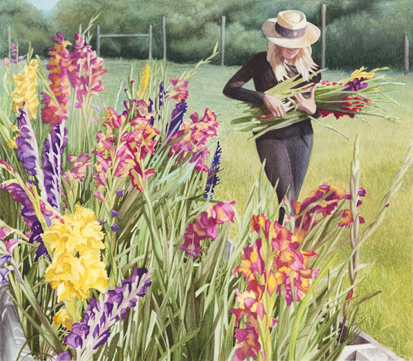 Gladiolus by Madeline Daversa