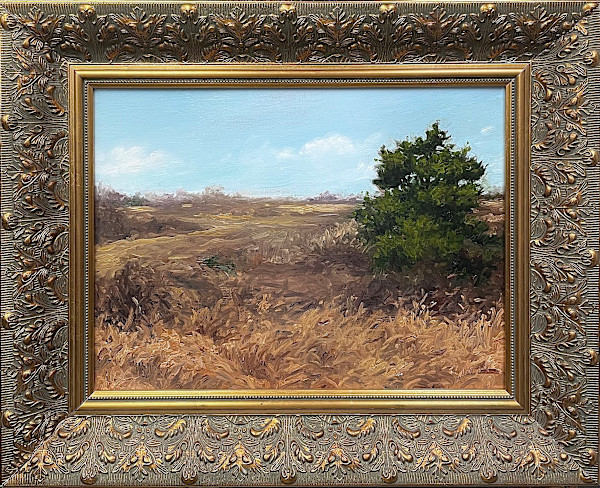 Barrens by David Peikon
