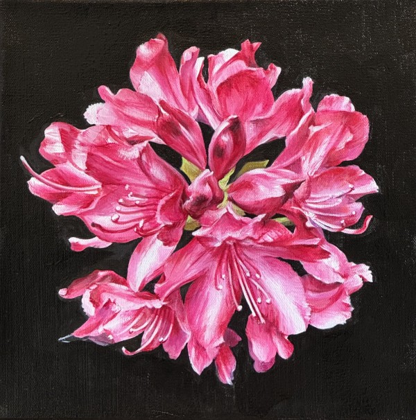 Blooms of Hope, #1 by Nadia Klionsky