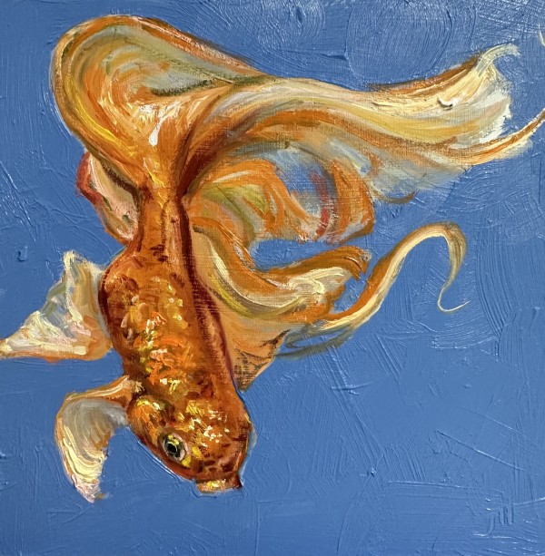 Goldfish Study II by Jennifer Hannaford