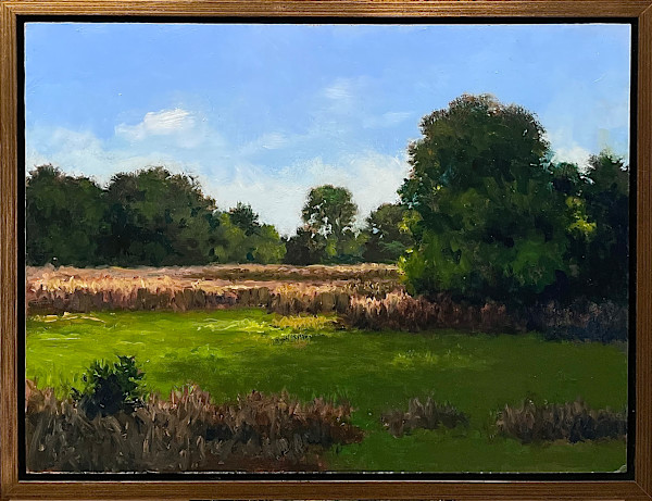 Light and Shadow by David Peikon