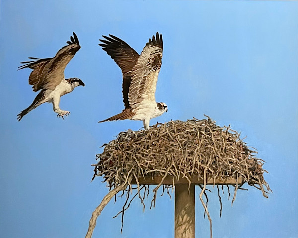 The Nest by David Peikon