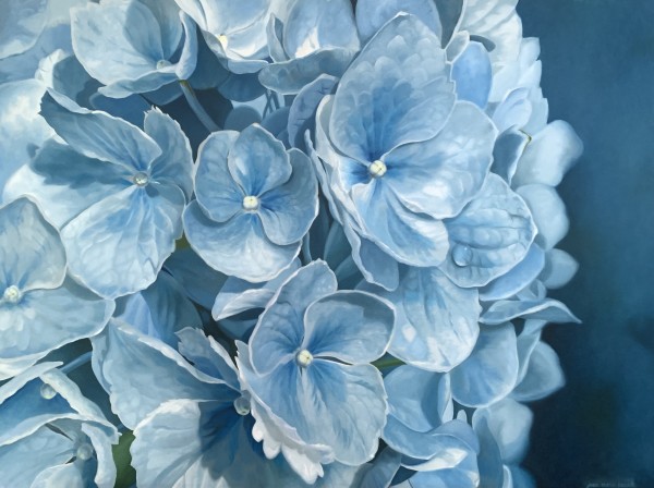 HAMPTONS HYDRANGEA by Jean Marie Bucich