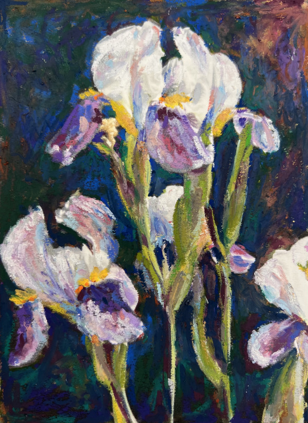 Iris Spring by Eileen Baumeister McIntyre