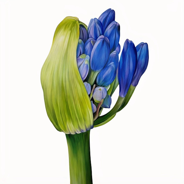 The Promise by Stephanie Lawing, Image 6.