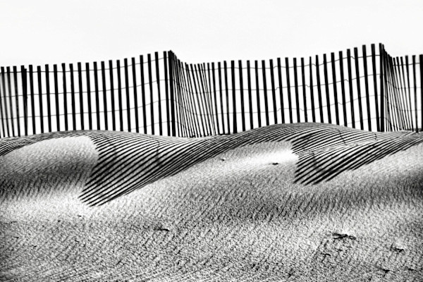 Cardiogram of the Beach by Jacques Everett Le Blanc, Image 1.