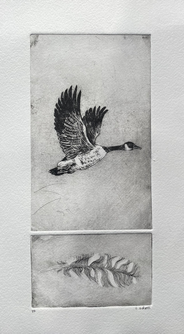 Loose Feather by Larissa Grass, Image 1.