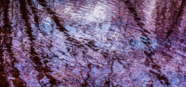 Moonlit, #1 by Jo Anne Dumas