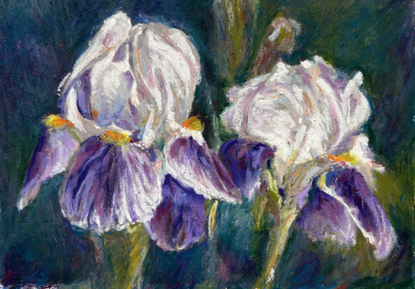 Purple Irises by Eileen Baumeister McIntyre