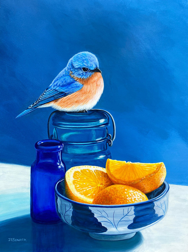 Sun Kissed by J Elaine Senack