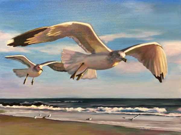 Seagulls in Flight by Stephanie Erdel-Laws