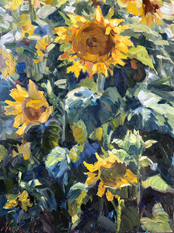 Sunflowers at afternoon by Natalia Nosyk