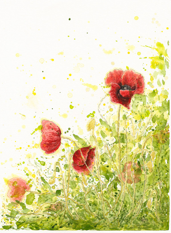 Simple Beauty, Poppies II by Gia Dianna