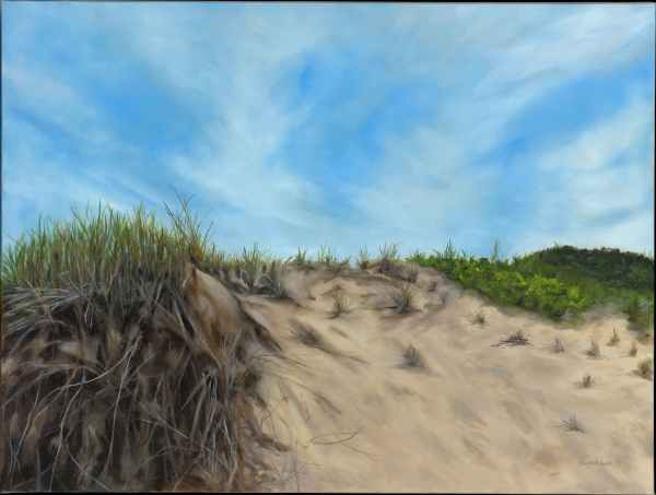 Up the Dunes by Hillary Serota Needle