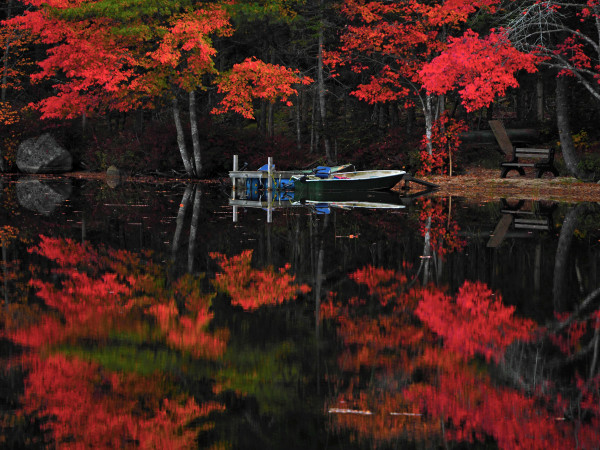 Fall Reflections by Susan Saunders