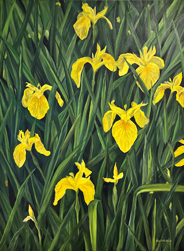 Yellow Irises by Hillary Serota Needle, Image 1.
