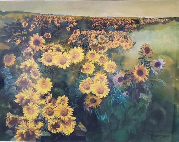 Sunflower Field by John Thorns