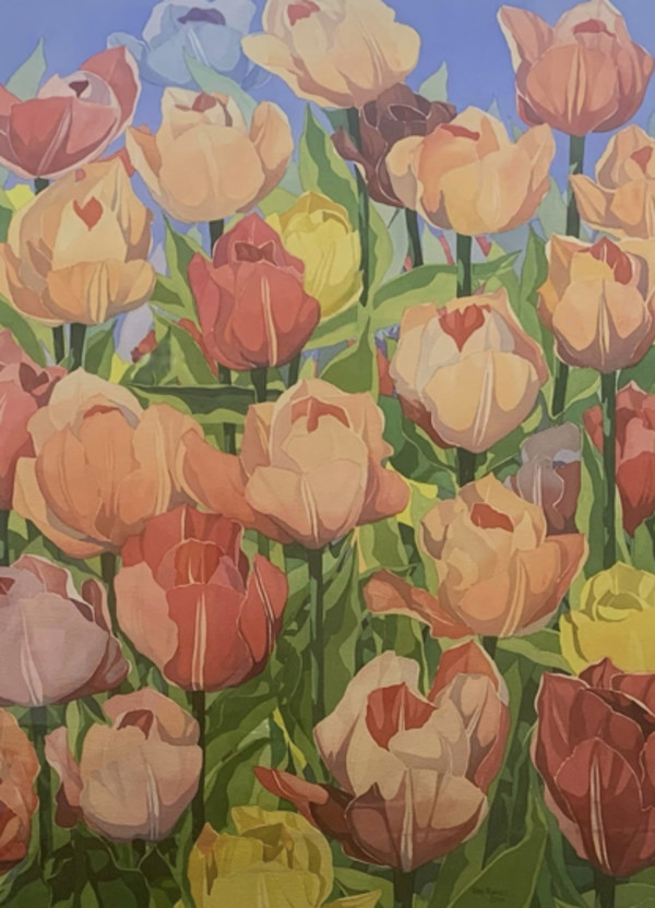 Tulip Field by Terry Maxwell