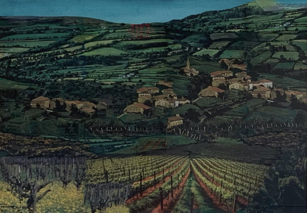 Vineyard Vista by John Thorns
