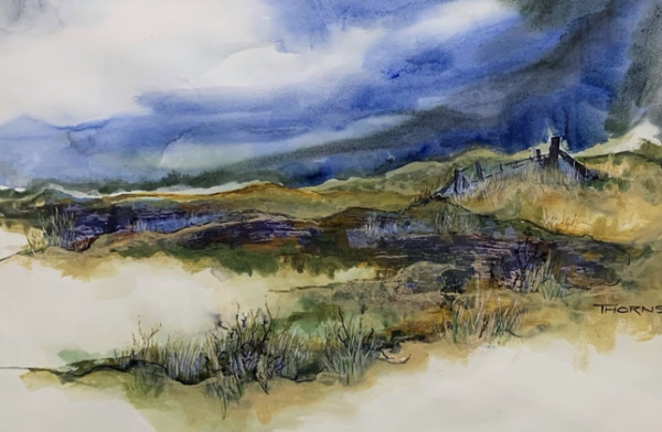 Prairie by John Thorns