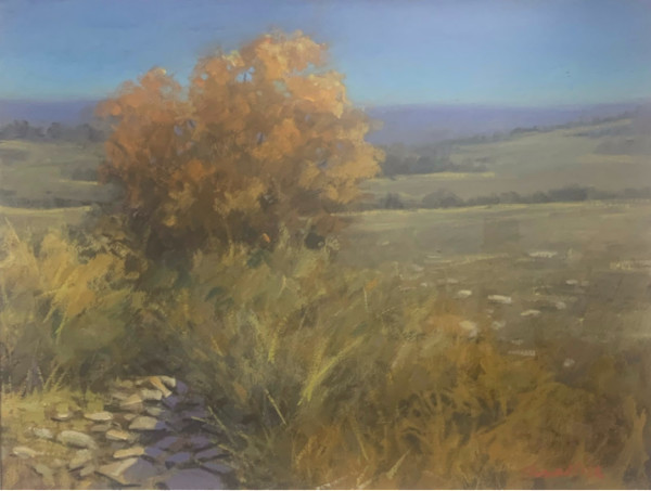 Hills of Kansas by Orval Thrasher