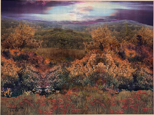 Virginia Hills by John Thorns