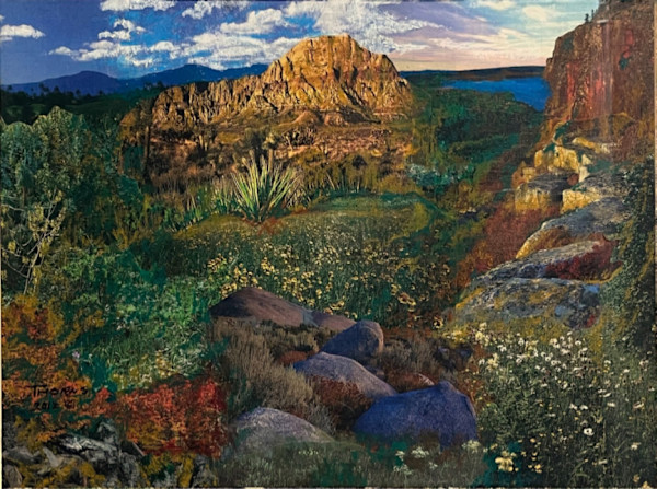 Wilderness #2 by John Thorns