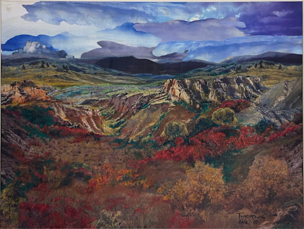 Valley Sumac by John Thorns