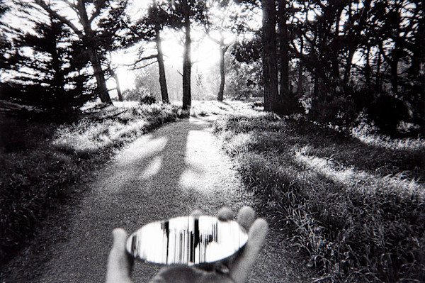 Ahead, The Bishop Pines I Love in Golden Gate Park by Charles Marie Reilly, Image 1.