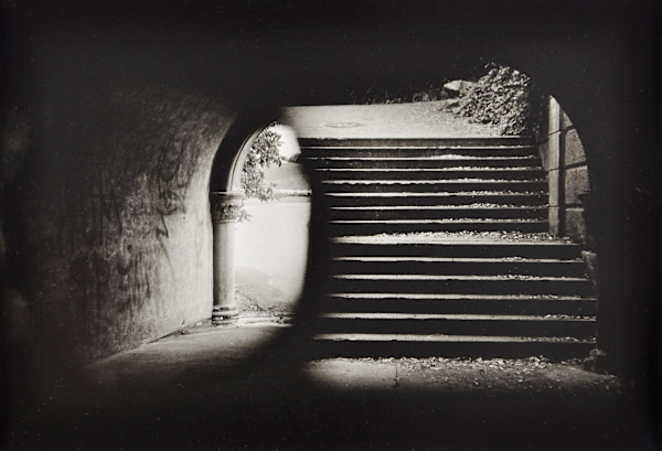 Conservatory Tunnel, San Francisco by Charles Marie Reilly, Image 1.