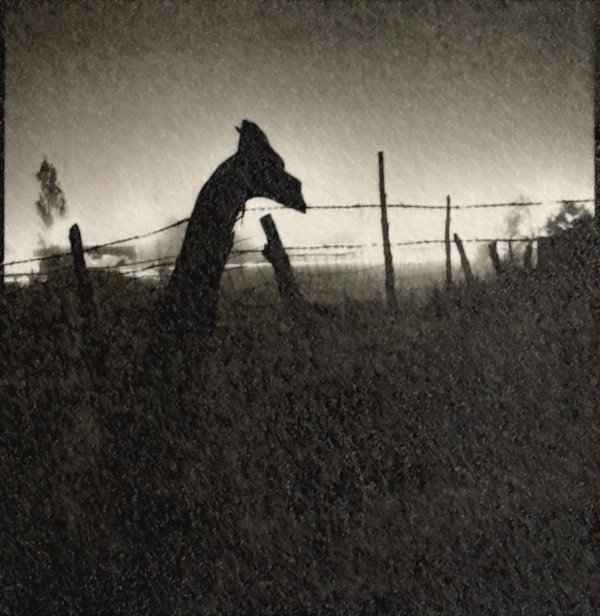 Fog along the Alameda River, Santa Fe by Charles Marie Reilly, Image 1.
