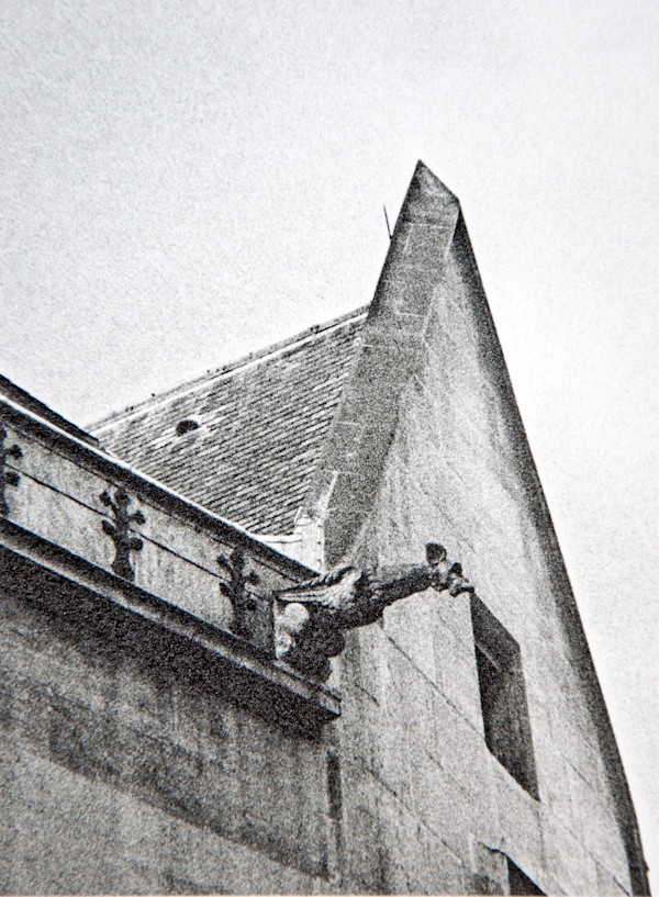 Gargoyle, Paris by Charles Marie Reilly, Image 1.