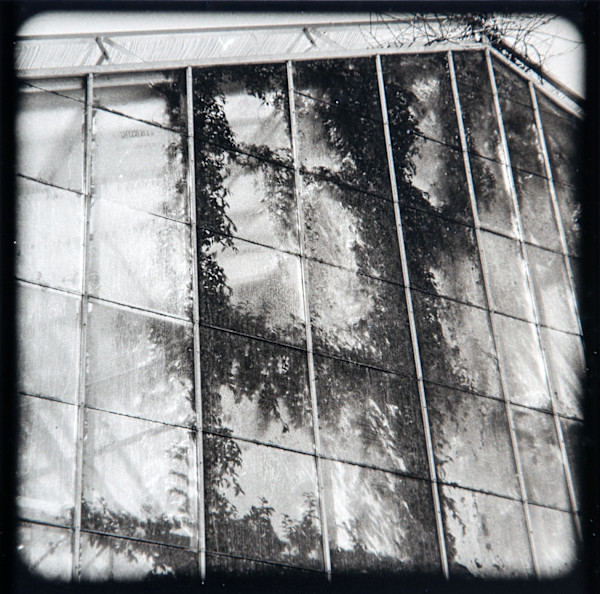 Glasshouse, Berkeley by Charles Marie Reilly, Image 1.