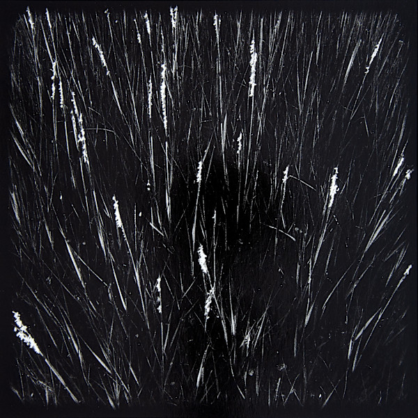Marsh Hay Studies I - VIII, #2 by Charles Marie Reilly, Image 1.
