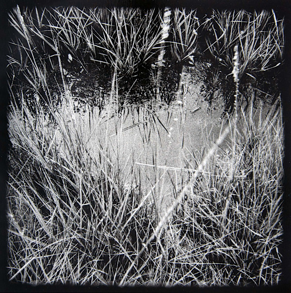 Marsh Hay Studies I - VIII, #5 by Charles Marie Reilly, Image 1.