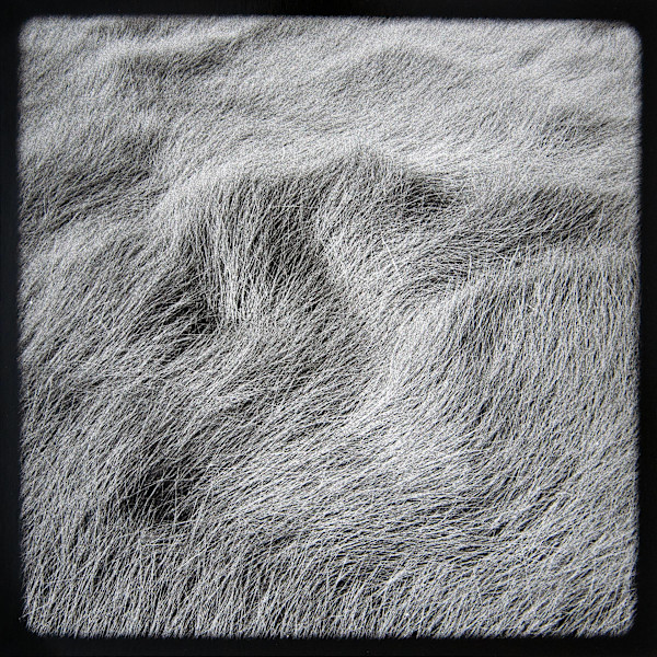 Marsh Hay Studies I - VIII, #6 by Charles Marie Reilly, Image 1.