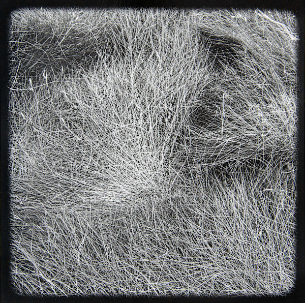 Marsh Hay Studies I - VIII, #7 by Charles Marie Reilly, Image 1.