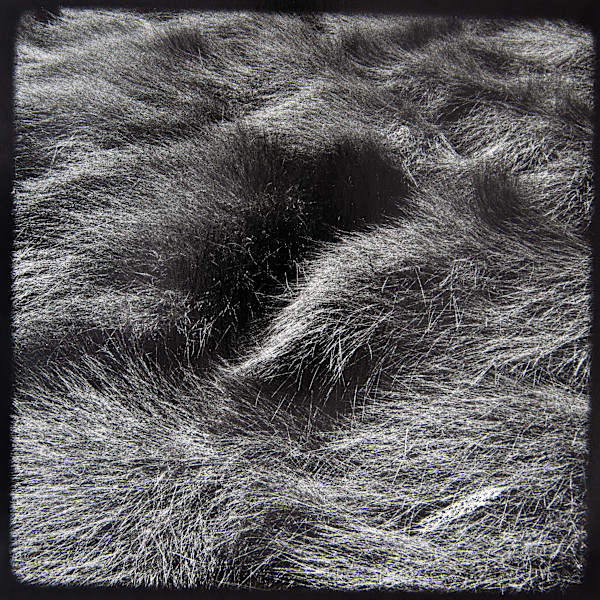 Marsh Hay Studies I - VIII, #8 by Charles Marie Reilly, Image 1.