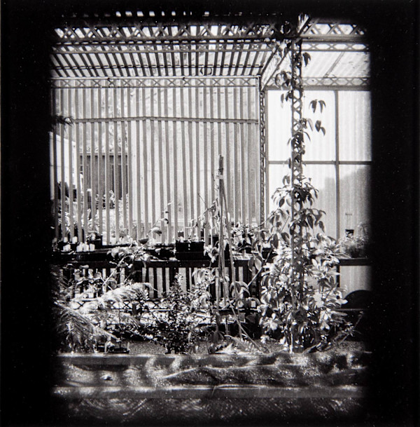 Potting Shed, Berkeley by Charles Marie Reilly, Image 1.