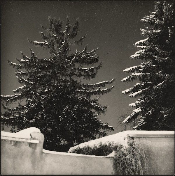 Reunion, Santa Fe by Charles Marie Reilly, Image 1.