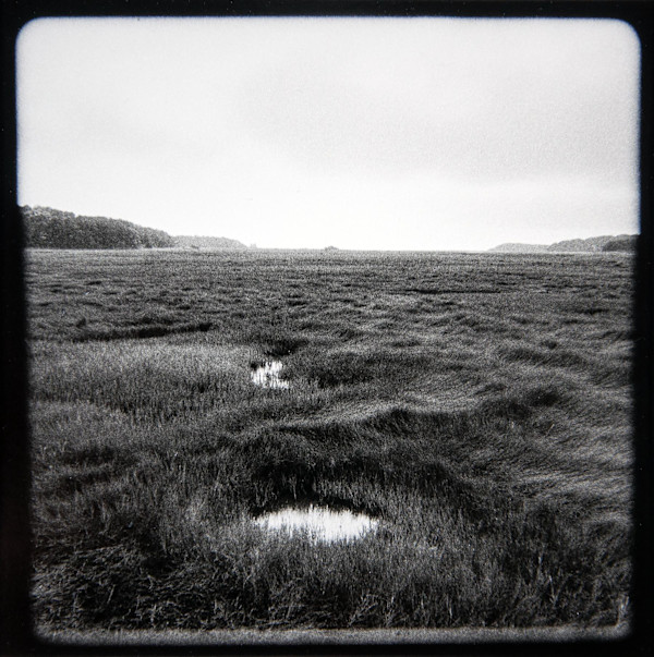 Wellfleet Bay Tidal Marsh Views I - VI, #1 by Charles Marie Reilly, Image 1.