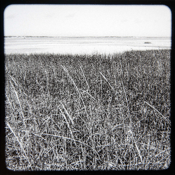 Wellfleet Bay Tidal Marsh Views I - VI, #4 by Charles Marie Reilly, Image 1.