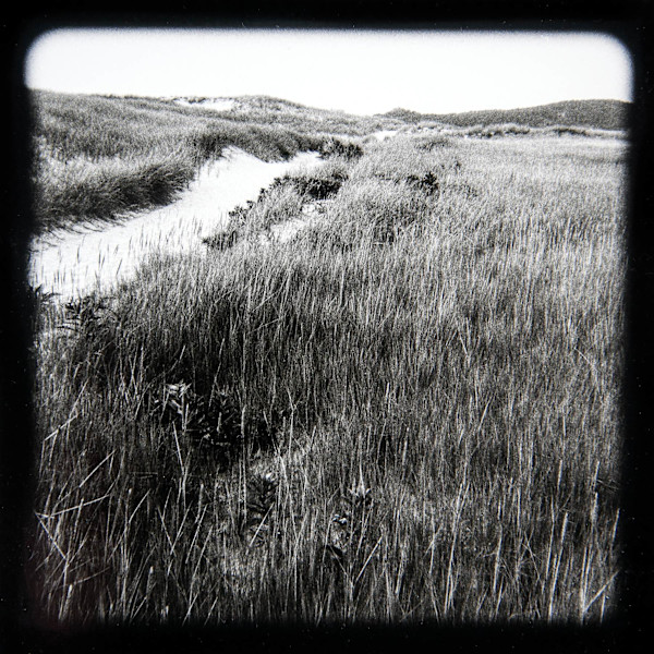 Wellfleet Bay Tidal Marsh Views I - VI, #5 by Charles Marie Reilly, Image 1.