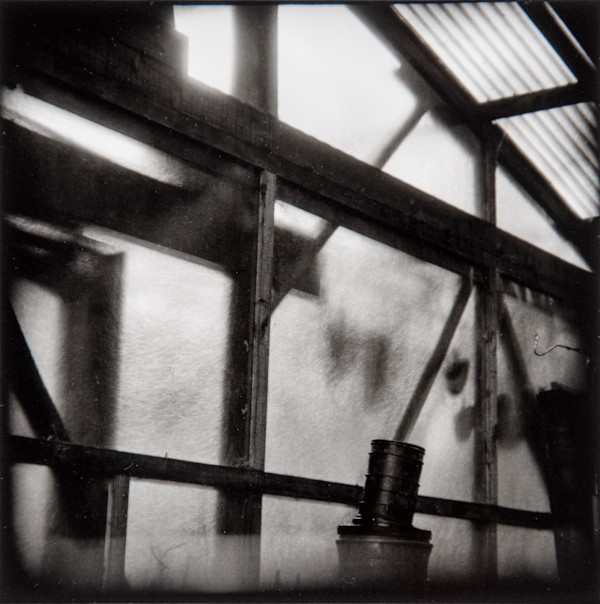 Translucence 2, San Francisco by Charles Marie Reilly, Image 1.