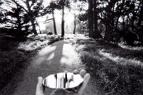 Ahead, The Bishop Pines I Love, Golden Gate Park, unframed edition, edition image.